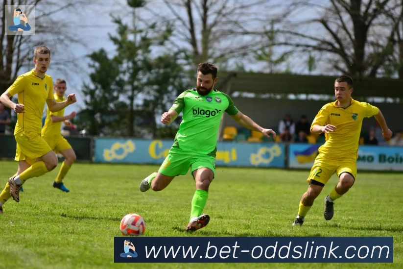 在线买球全站App